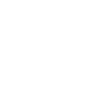 Strategy & Roadmap